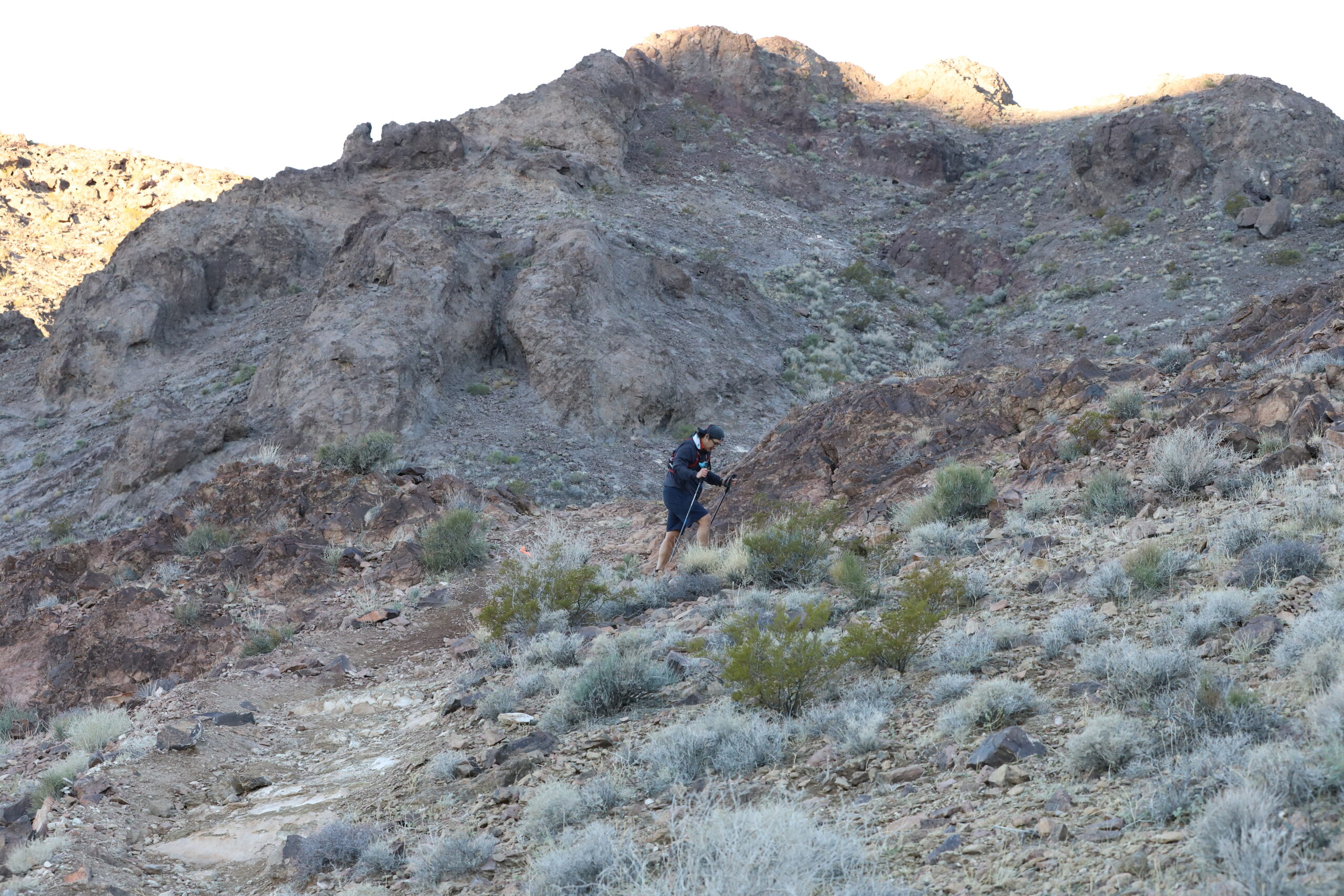 Trail runner running the bootleg boogie in the Mojave desert, Nevada.
