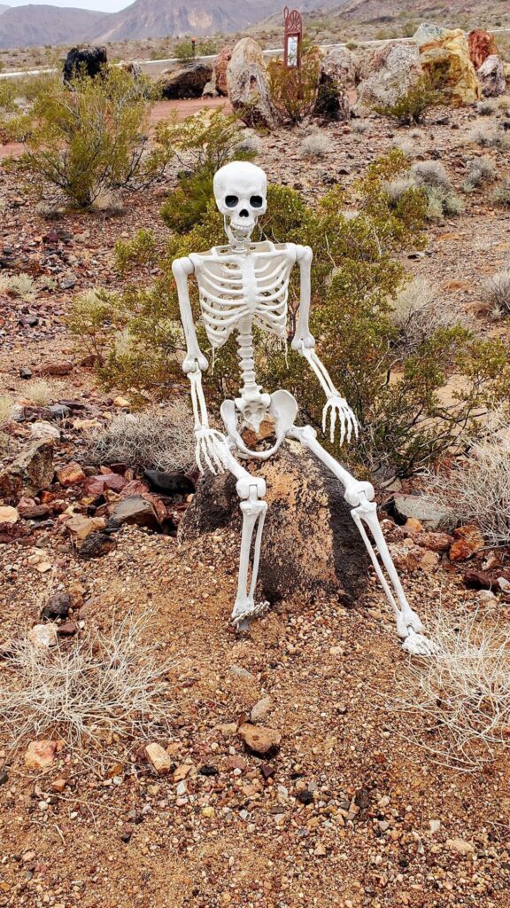 Bootleg Boogie Trail Ultra Race skeleton mascot in the Mojave Desert, Nevada.